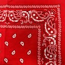 Custom Embroidered Vintage Bandana - Red