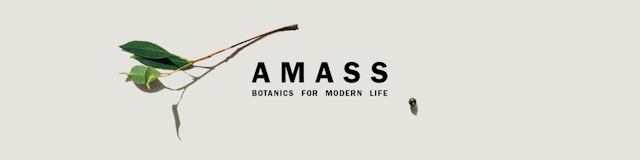 AMASS Botanic Hand Sanitizer