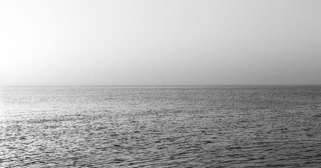 Aponiente - Ángel León - El Chef del Mar