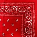 Custom Embroidered Vintage Bandana - Red